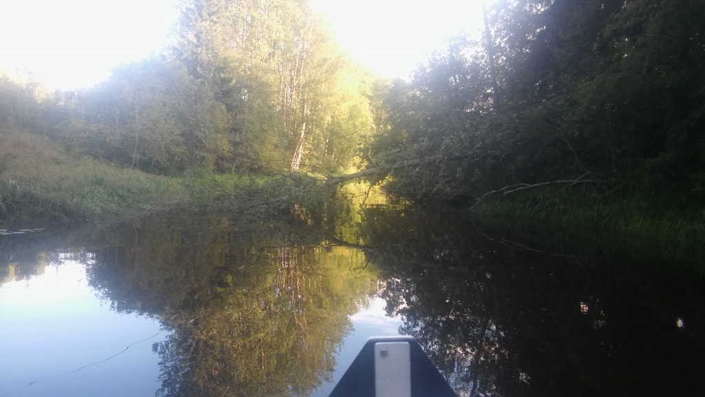Mukava yllätys tuli vastaan kun olin lähdössä järvelle