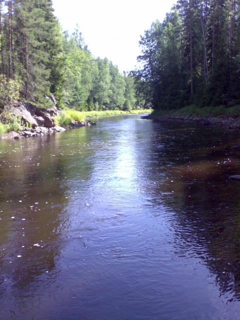 Merikarviariver