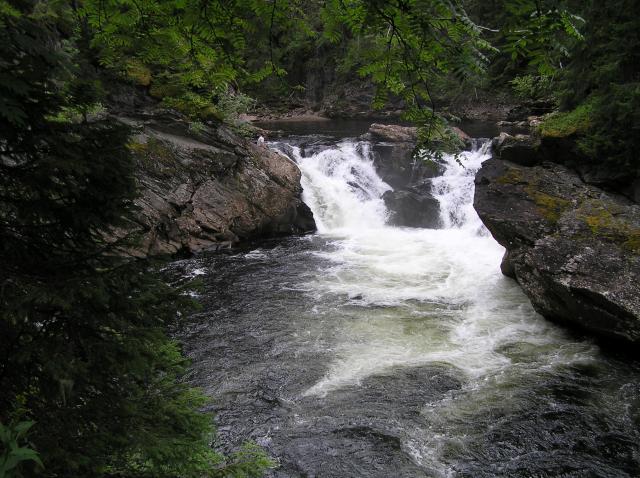 Gaulalta