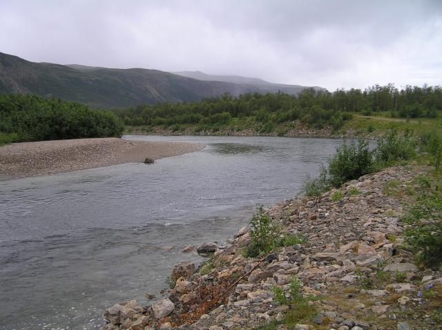 Lakselva