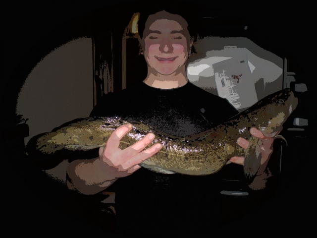 65cm