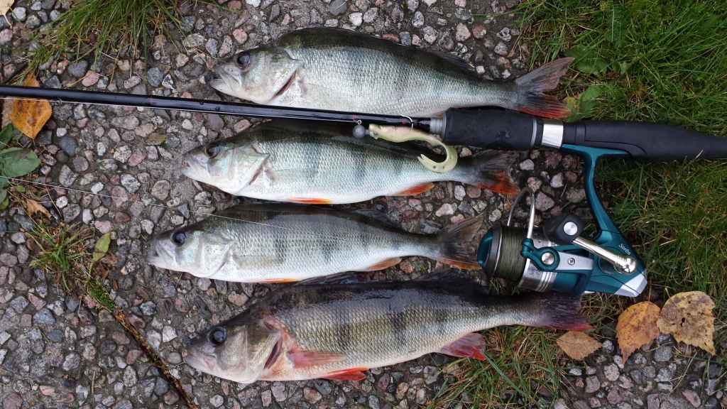 240-340g