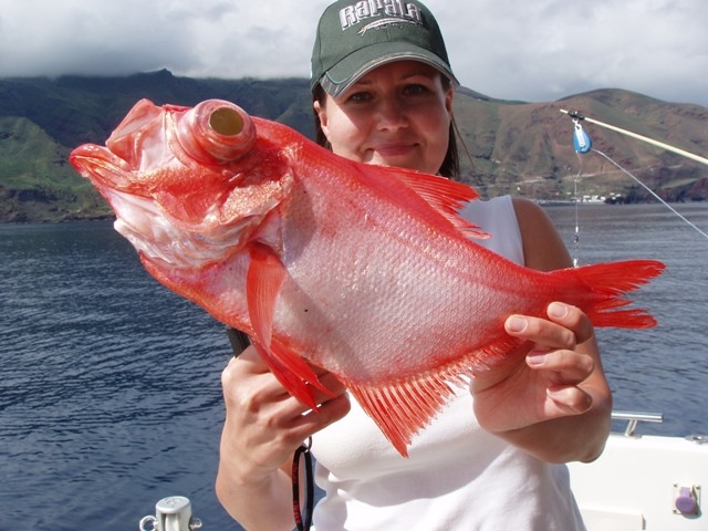 Uusinta saalista El Hierrolla