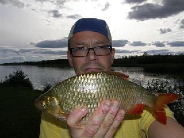 SORWA 0.494 kg