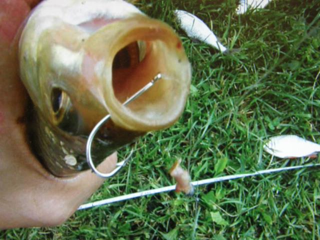 NUMERO NELOSEN KOUKKU 300 GEEN SUUSSA