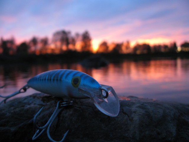 Rapala Mangnum
