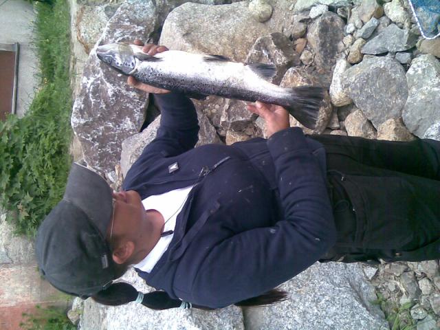 J�rv�ri 58cm