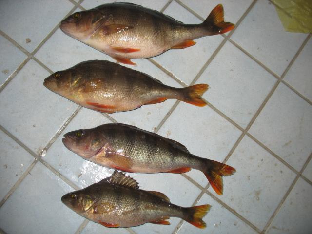 P�iv�n suurimmat