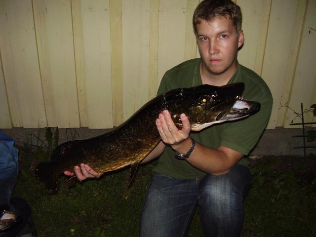Puntarin mukaan vajaa 6kg & 98cm