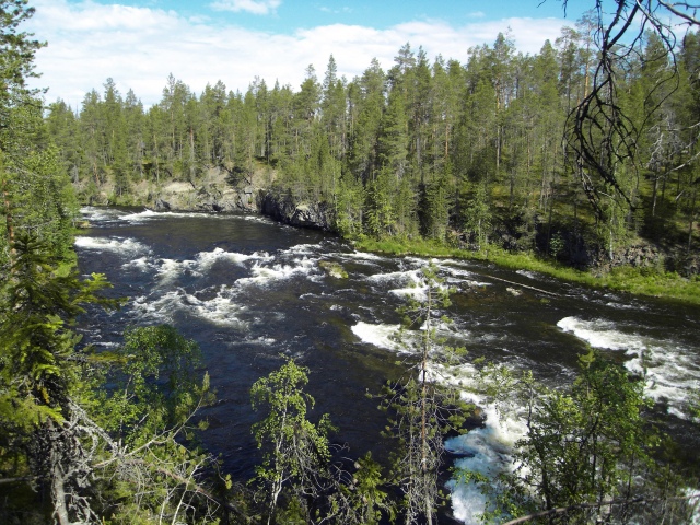 Kitkajoki, harjakoski