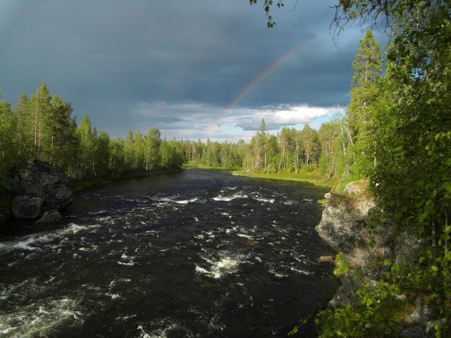 Kitkajoki, peurakoski