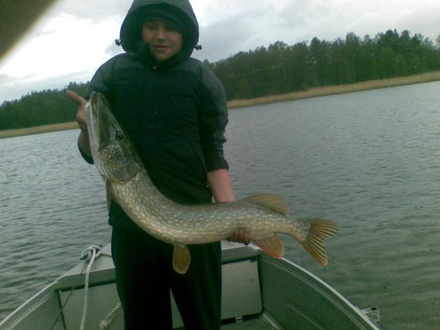 Hauki 6.5 kg