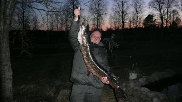 Oij�rven hauki 8,8kg
