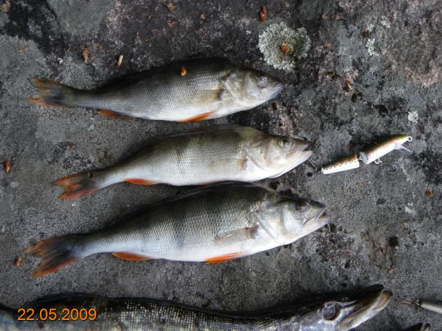Kalassa 22052009