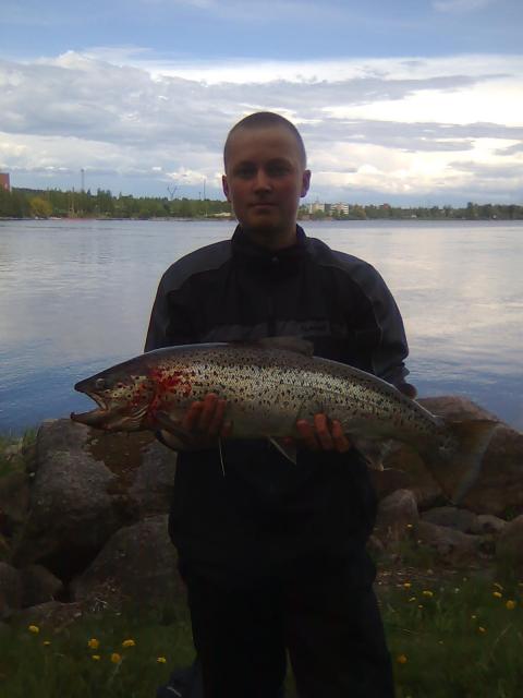 4 kg Meritaimen