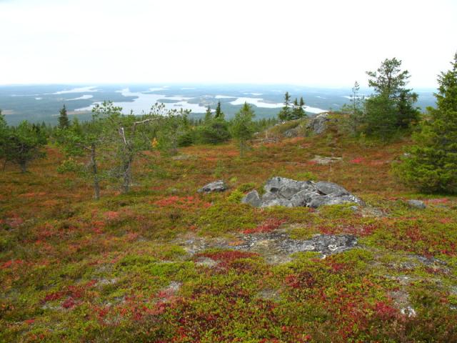 Maisema Iivaarasta