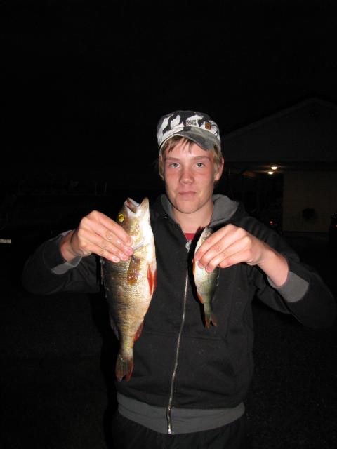 Pihlavanlahti 3.7.09 ahven 950g!