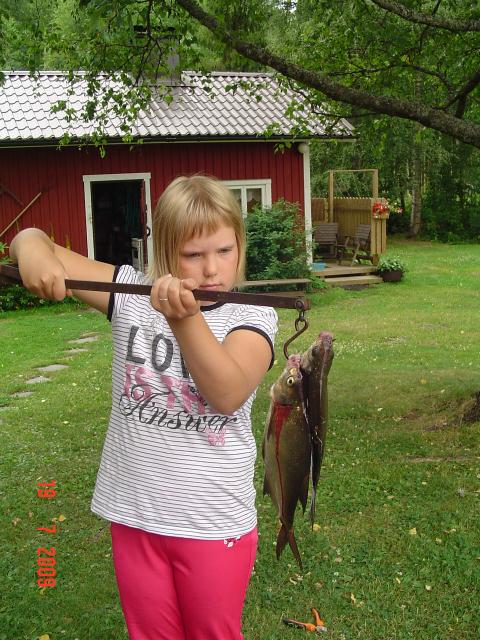 2 lahnaa. yhteispaino 700g