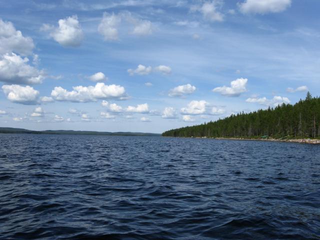 Ali-suolij�rvi, porosaaren reuna