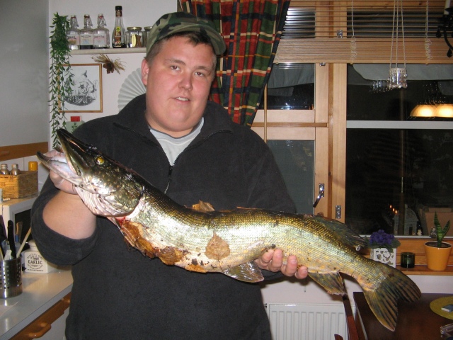 Hauki 5kg , Oravasaari , Pomarkku