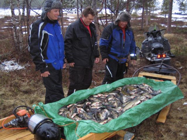 5 tunnin ahven saalis toki hauet koukuista