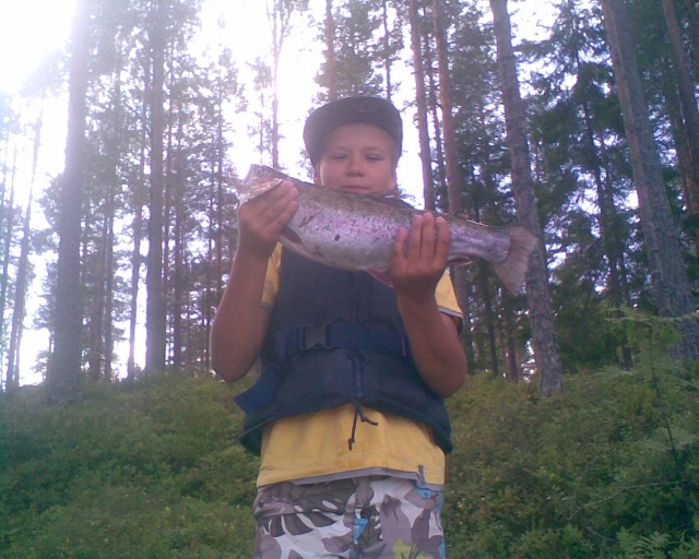 1kg 500g kirjolohi