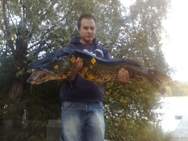 11.5kg rontti