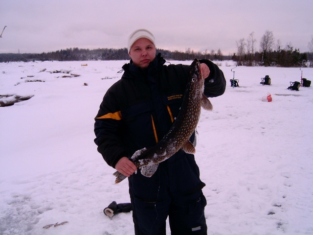 4,6kg
