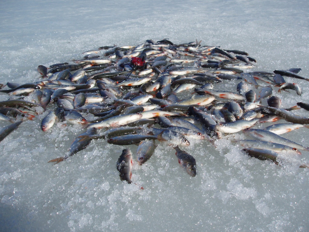 Päivän ensimmäinen reikä