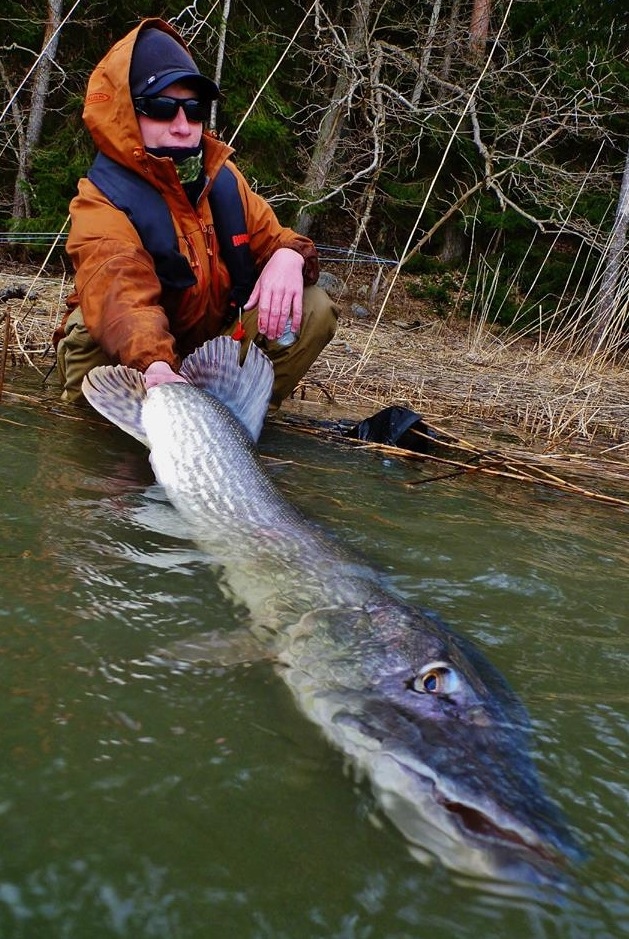 K�sip�iv�� :) 