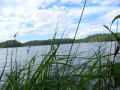 Ahvenkalalla.