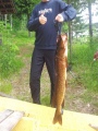 Hauki 8,5kg 105cm