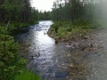 Luttojoki
