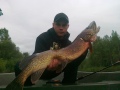 Hauki 7,5 kiloa