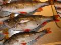 Just alle 400g, ja sis�lt��.