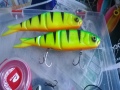 25cm soft 4play rigausta huomisen varalle..