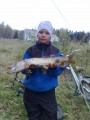 Hauki pikkujoelta 