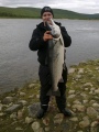 13.9kg