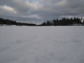 Kuusj�rvi 31.1.2016