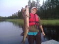 4.2 kg hauki viime syksylt�.