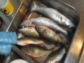 2010 kauden viimeinen reissu