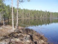 Ahvenlampi