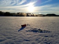 Aurinkoista...