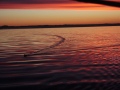 Y�