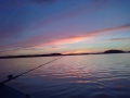 Lappeenrannan sunisen sel�ll� uistinta vet�m�ss� 14.7.2011