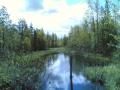 Saarijoki