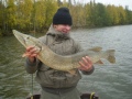 ihme 2v�rinen c&r