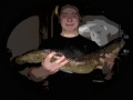 65cm