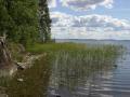Pielavedell� kes�ll� 2006