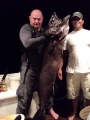 Mikon y�nkalastusretken saalista. 45 kg escolar rasposo tai valkotonnikala